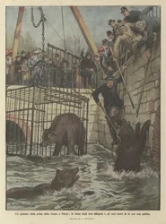 Un épisode de la crue de la Seine à Paris, la fosse aux ours inondée et les ours sauvés avec une cage